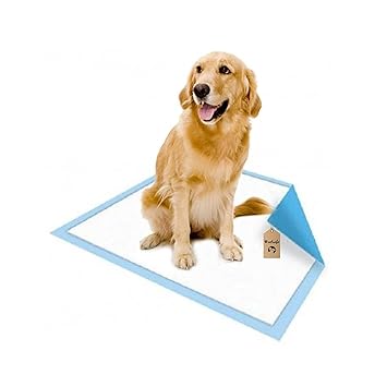 VetSafe Training Pad (60x90) 10 Count