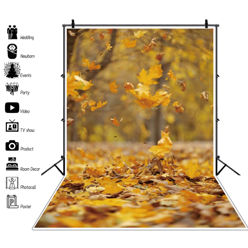 Amazon.co.jp: 背景布 落葉 秋の背景 黄葉 1.2x1.8m 壁の飾り 記念写真