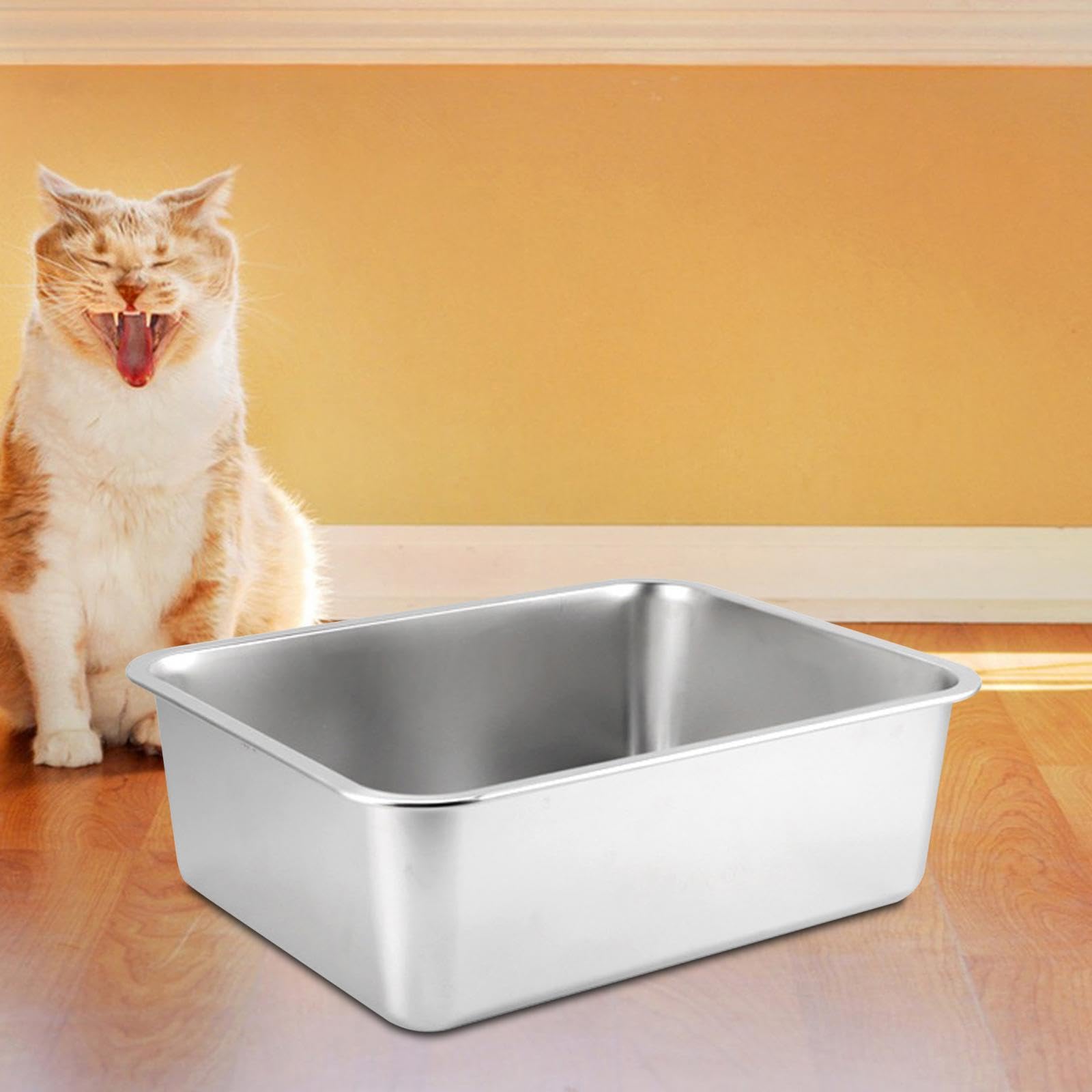 View 5