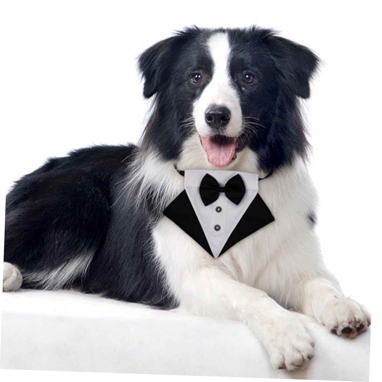 Toyvian 3ensembles Bandana Triangulaire pour Chien Accessoire Stylé pour Animaux De Compagnie pour Sorties Photos