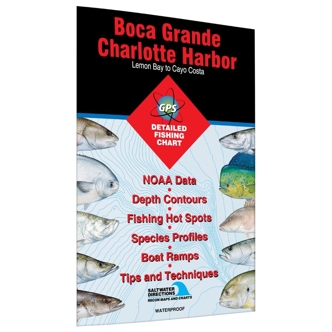 Boca Grande/Charlotte Harbor Lemon Bay to Cayo Costa Fishing Map