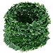 eBoot 24.6 Yards Artificial Garland Foliage Green Leaves Fake Vine for Party DIY Headbands
