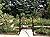 Panacea Products Arched Top Garden Arbor with Gate, Brushed Bronze