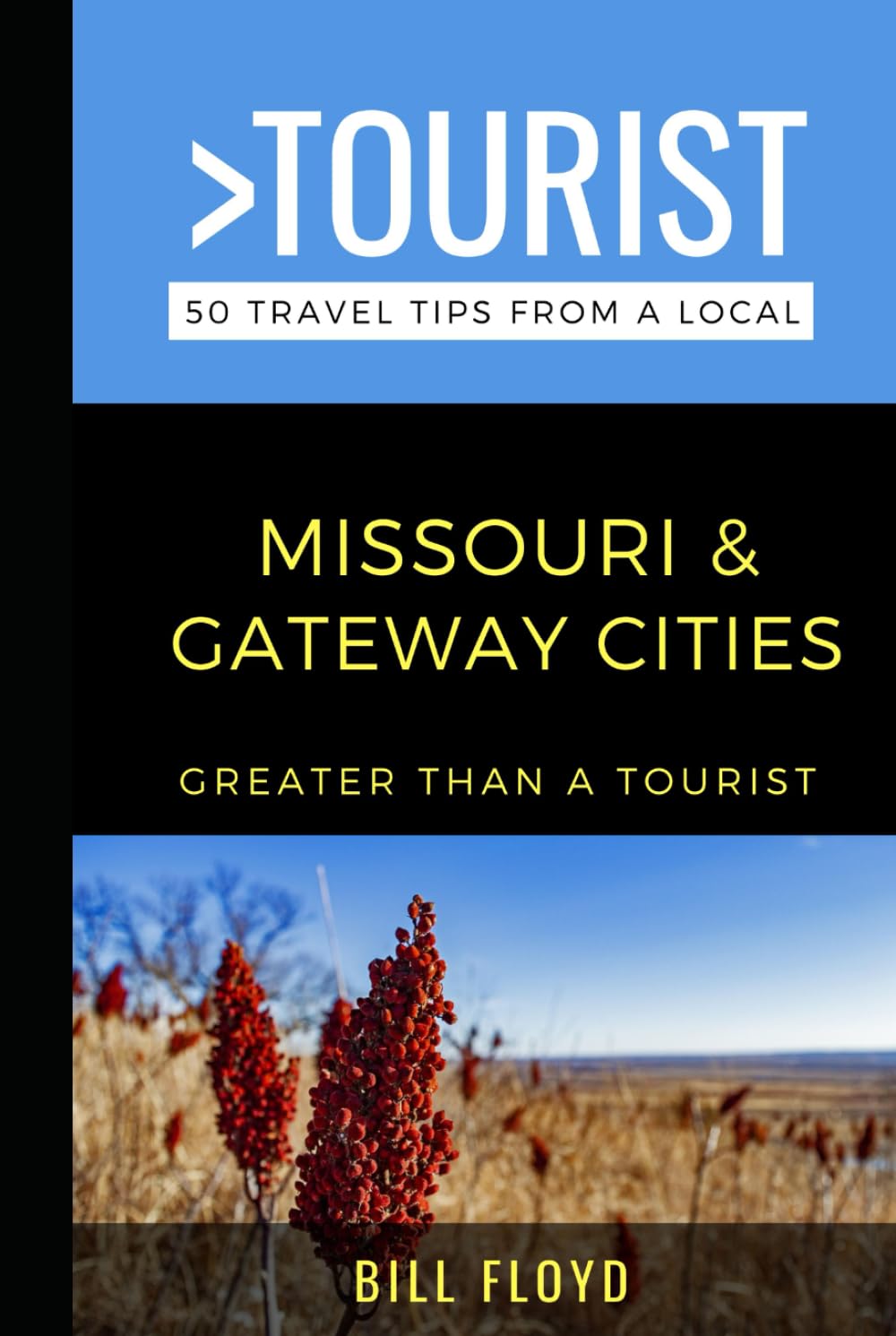 Greater Than a Tourist- Missouri & Gateway Cities: St. Louis, Kansas City, and Branson Travel Guide Book (Greater Than a Tourist North America & Caribbean Series)