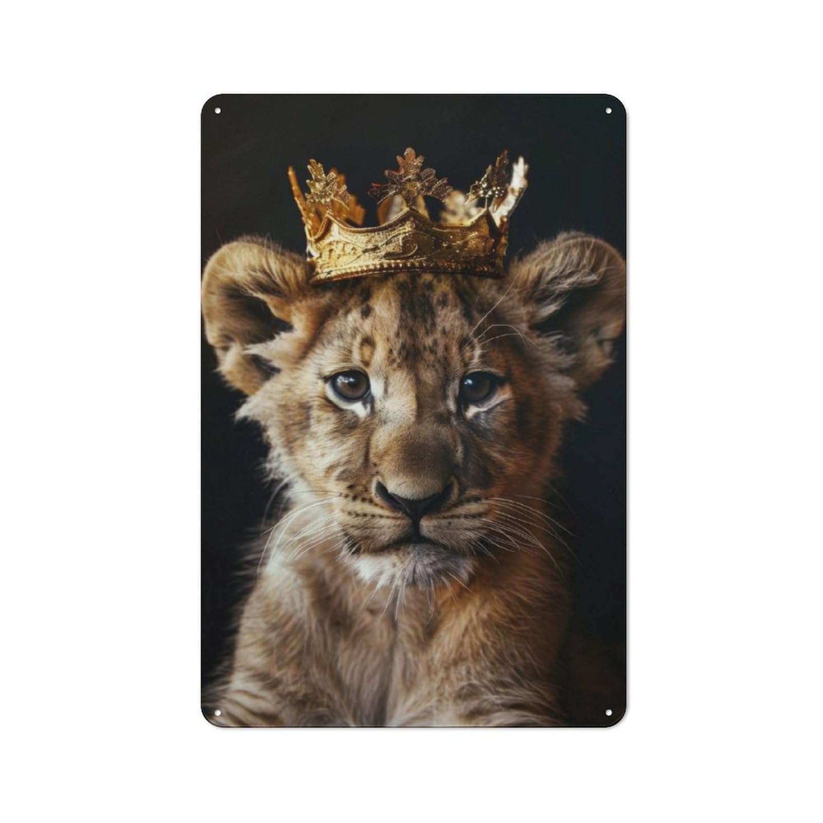 Junmoney Little Lion Tin Wall Plaque 30X20cm With For Living Room Or Hallway, For Garage, Workshop And Man Cave Decoration