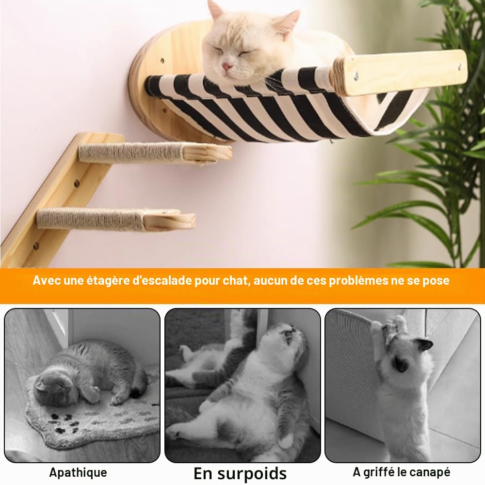 Étagère Murale pour Chat, Escalier pour Chat 4 Étapes Marches d'escalade Chats en Bois Cadre d'escalade Mural avec Un Bâton Drôle Echelle Chats pour Grimper, Sauter et Jouer