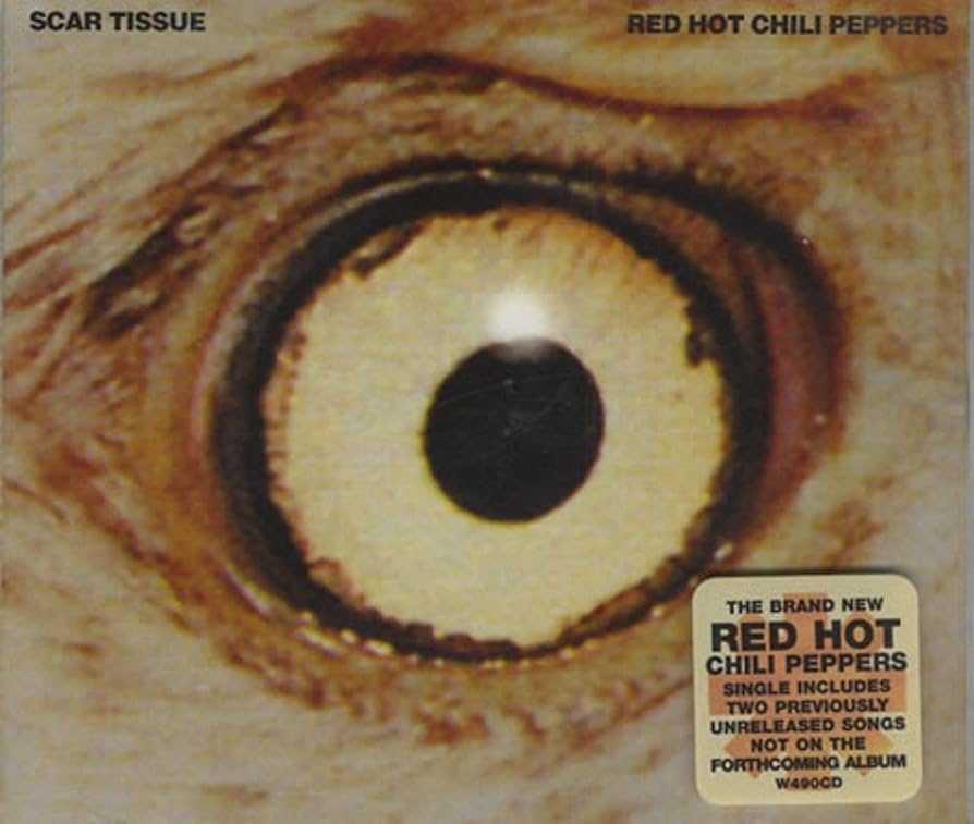 洋楽 RED HOT CHILI PEPPERS/SCAR TISSUE Amazon.co.jp: Scar Tissue: ミュージック