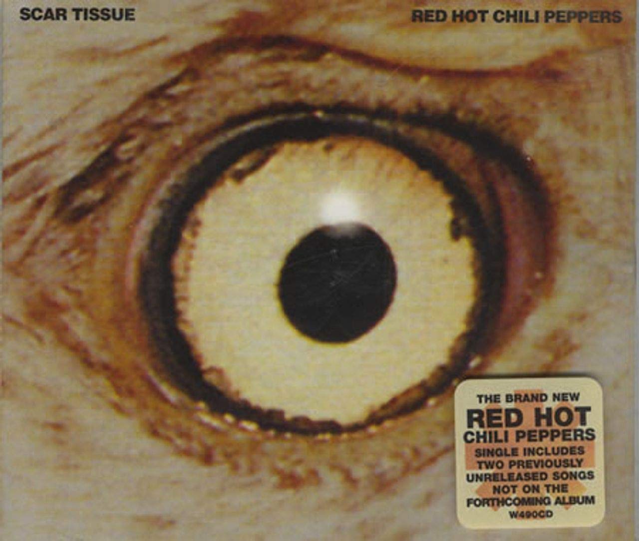 洋楽 RED HOT CHILI PEPPERS/SCAR TISSUE 6189QBsHnXL.jpg