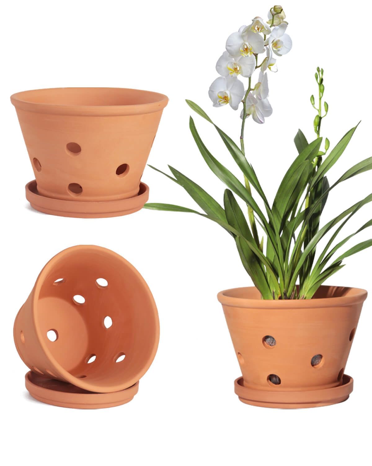 Photo 1 of vensovo Terracotta Orchid Pots with Holes and Saucers - Clay Orchid Planter Pots for Repotting, Plant Flower Pots for Orchid Indoor and Outdoor Promotes Air Circulation