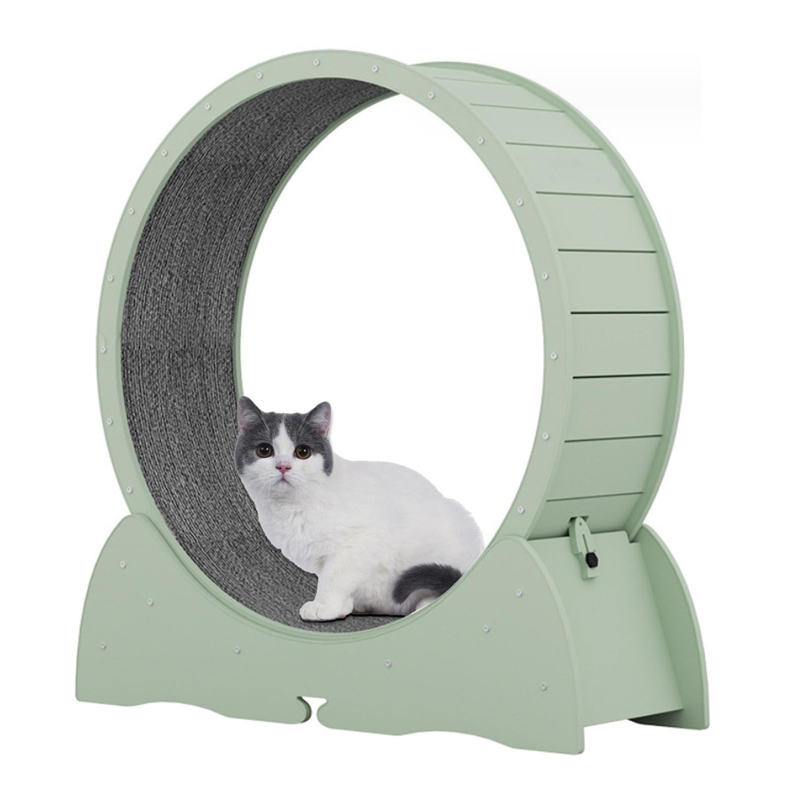 Amazon | 猫用ランニングホイールキャットホイール 猫