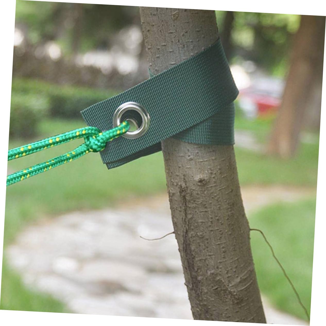 Attaches pour Plantes 1 Rouleau De Sangles pour Arbres Dextérieur Sangles De Soutien Coupe-Vent Matériau en Toile Robuste Facile À Couper Et À Ajuster