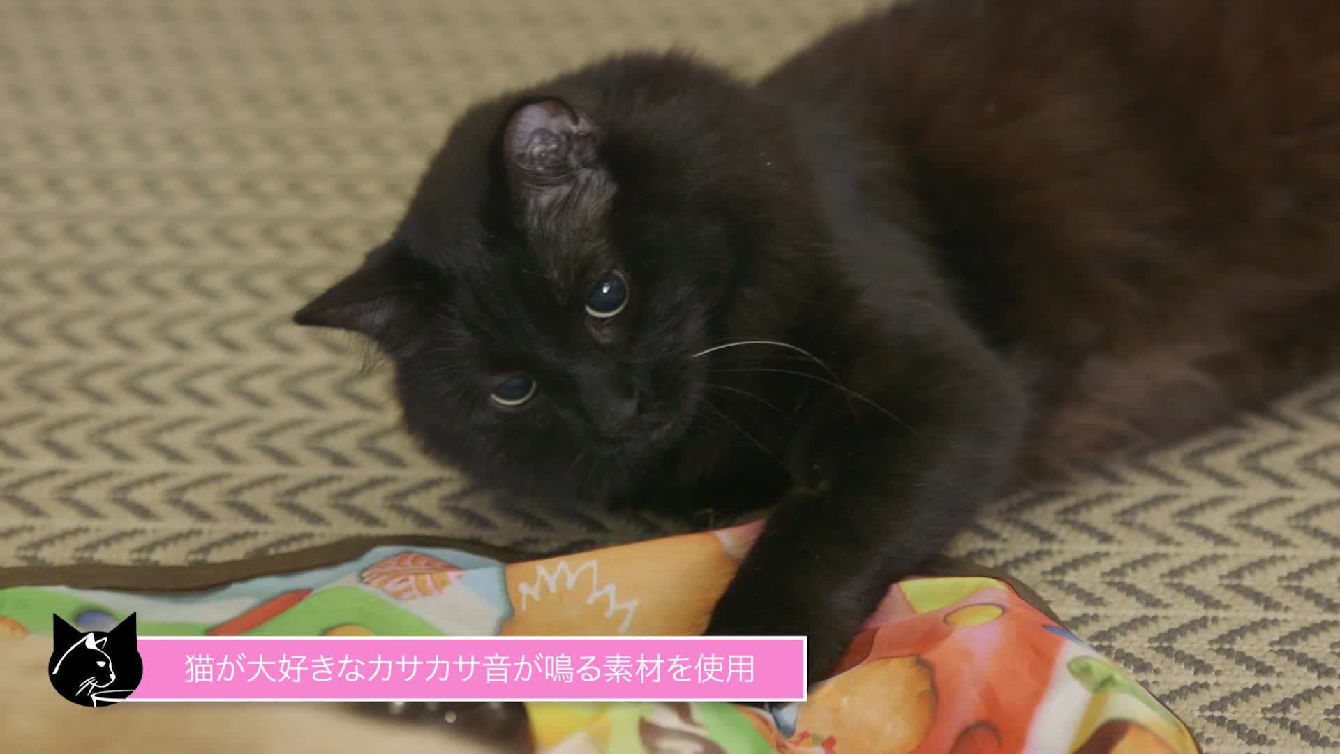 Amazon.co.jp: 猫壱 キャッチ・ミー・イフ・ユー・キャン2 猫用