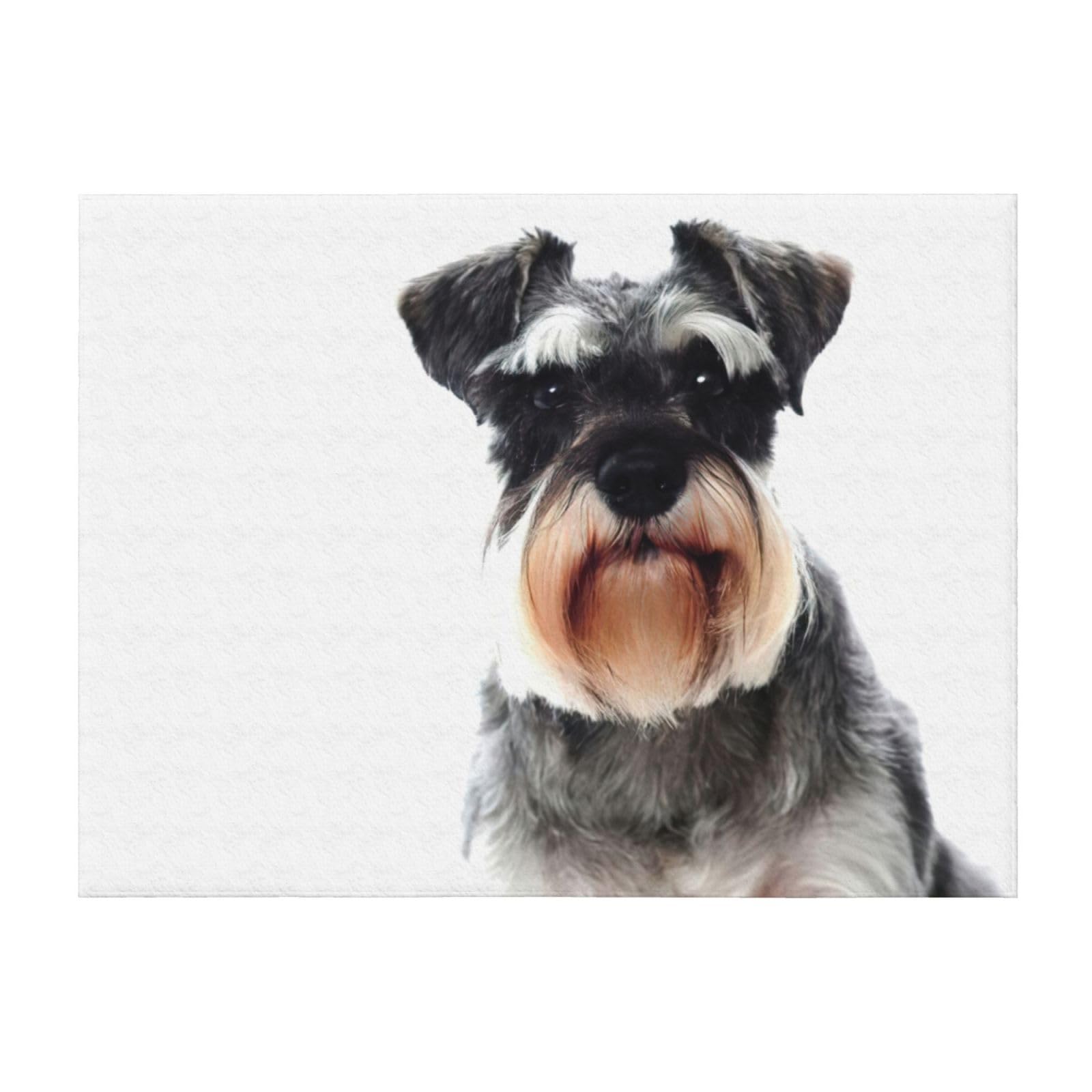 Couverture schnauzer EdWal : plaid microfibre doux et léger pour lit