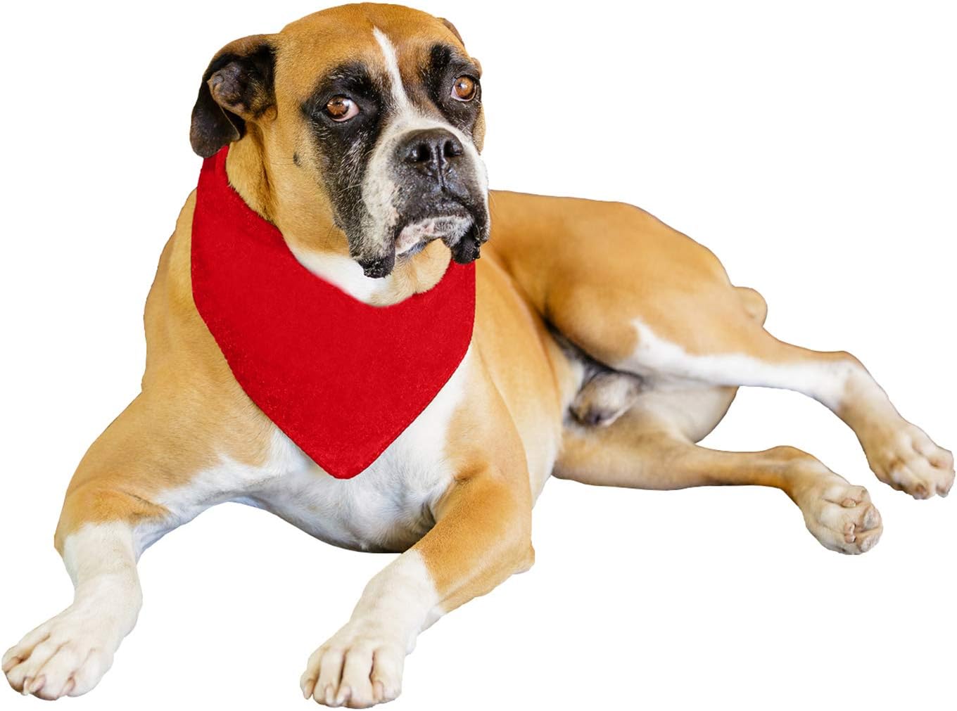 Solid Polyester 12 Pack Dog Neckerchief Triangle Bibs - Extra Large (Blue)