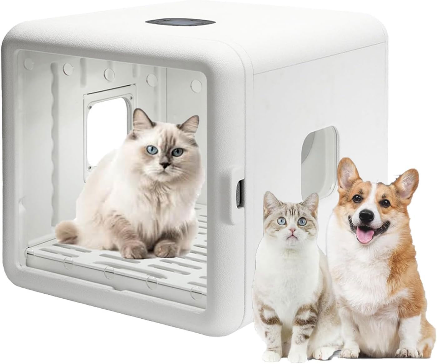 Secador automático para mascotas de 65 l, 1200 W, control inteligente de temperatura para gatos y perros, temporizador ajustable y viento de 4 velocidades, funcionamiento de bajo ruido