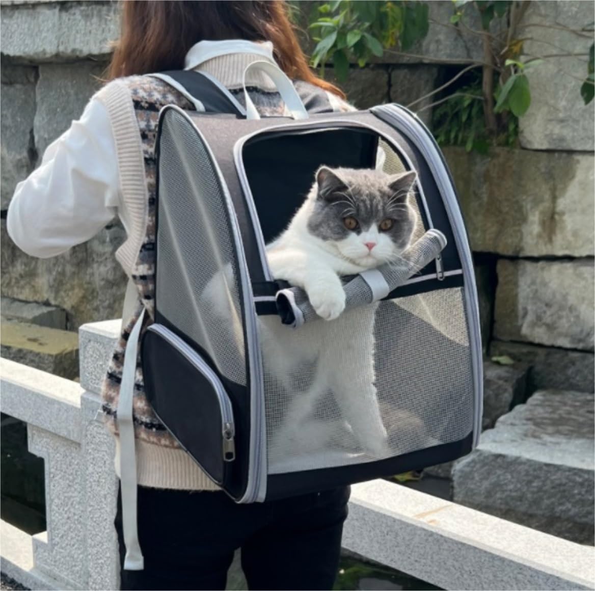 Rucksack Von Der Fluggesellschaft Zugelassener Katzen-Rucksack, Zusammenklappbarer Hunde-Tragerucksack, Katzen-Reisetrage Mit Stauraum Haustier(B)