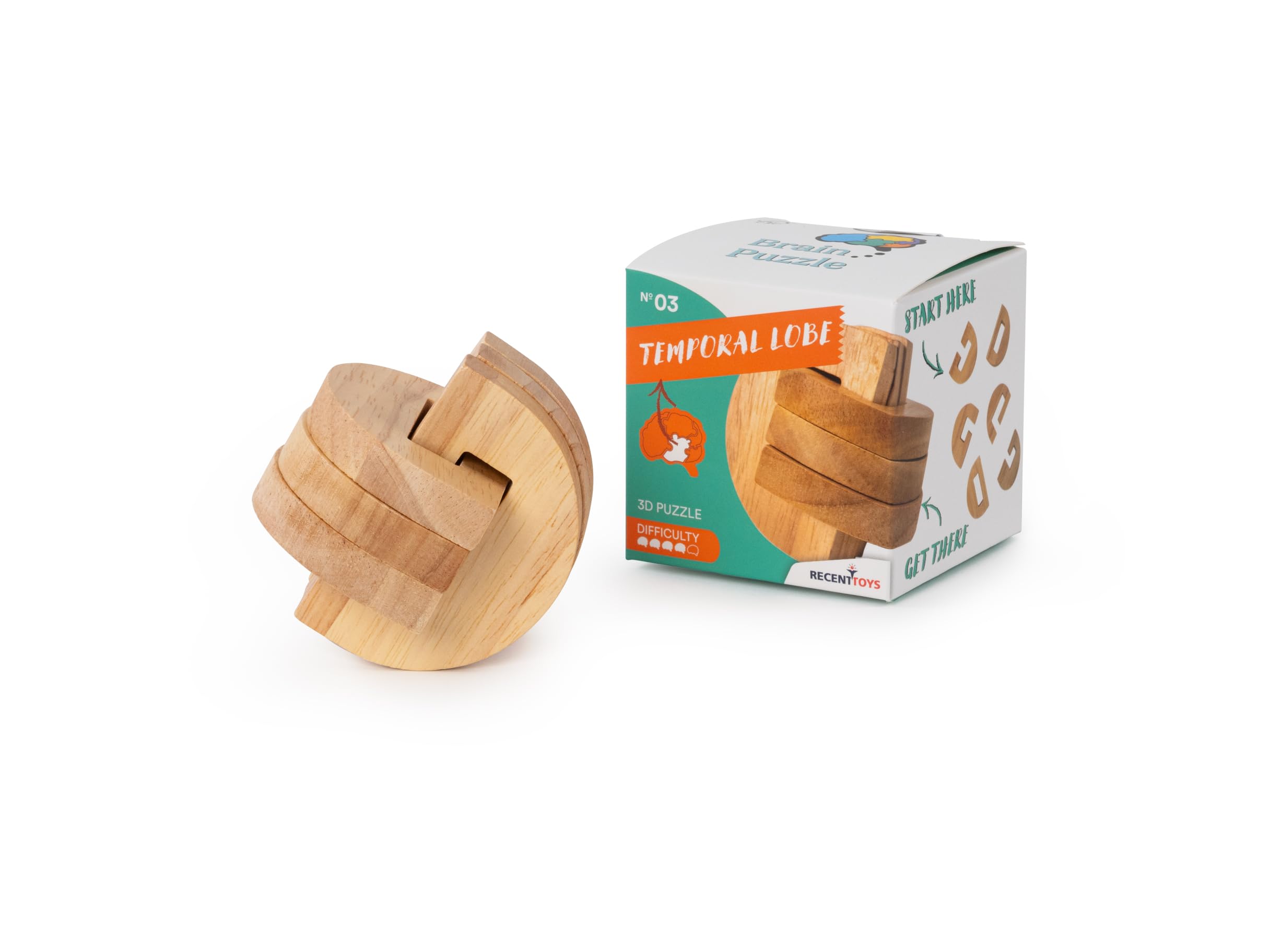Brain Puzzle Temporal Lobe, wooden 3d brainteaser puzzle
