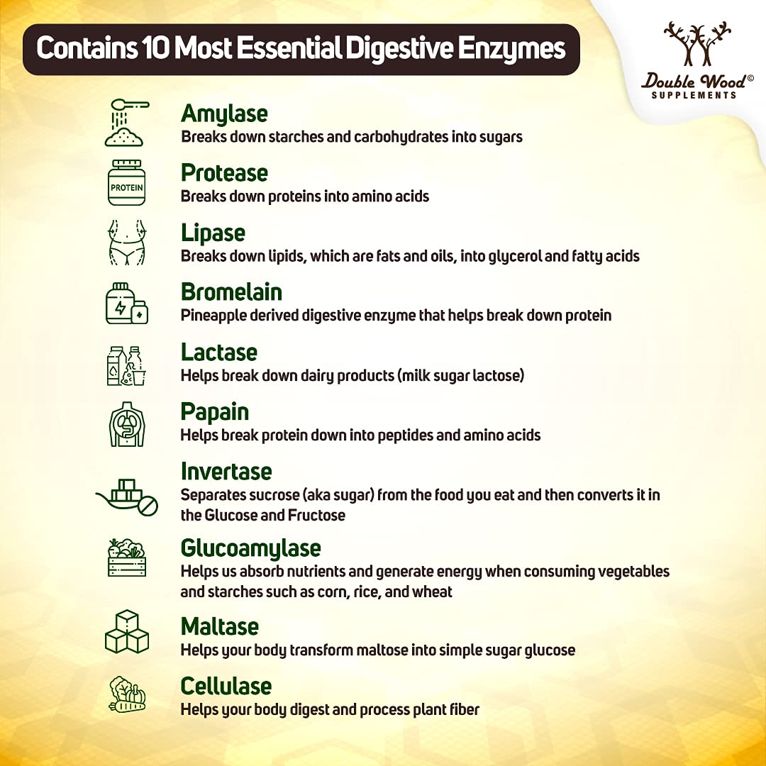 Digestive Enzymes 800mg Blend of All 10 Most Essential Digestive and