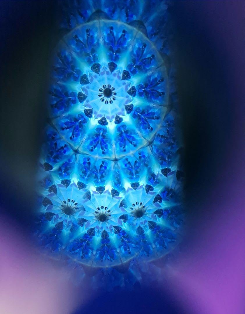 Aki オイル万華鏡