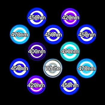 Amazon | B.R.S Lighting Master 24DCⅡ【UVネオン】40,000K