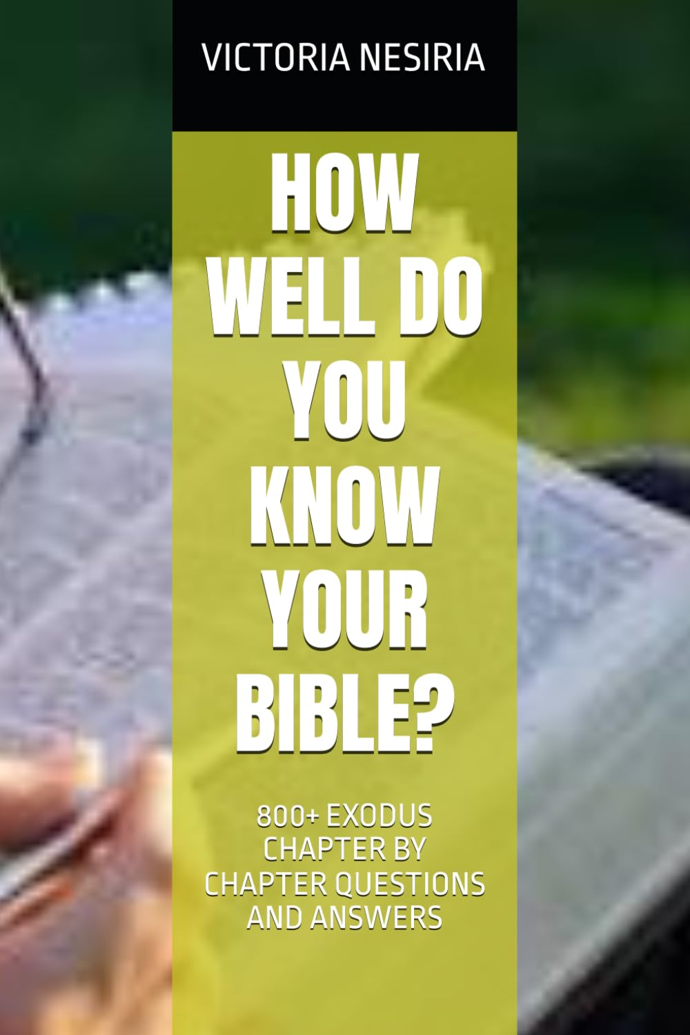 HOW WELL DO YOU KNOW YOUR BIBLE?: 800+ EXODUS CHAPTER BY CHAPTER QUESTIONS AND ANSWERS (HOW WELL DO YOU KNOW YOUR BIBLE?GENESIS TO REVELATION)