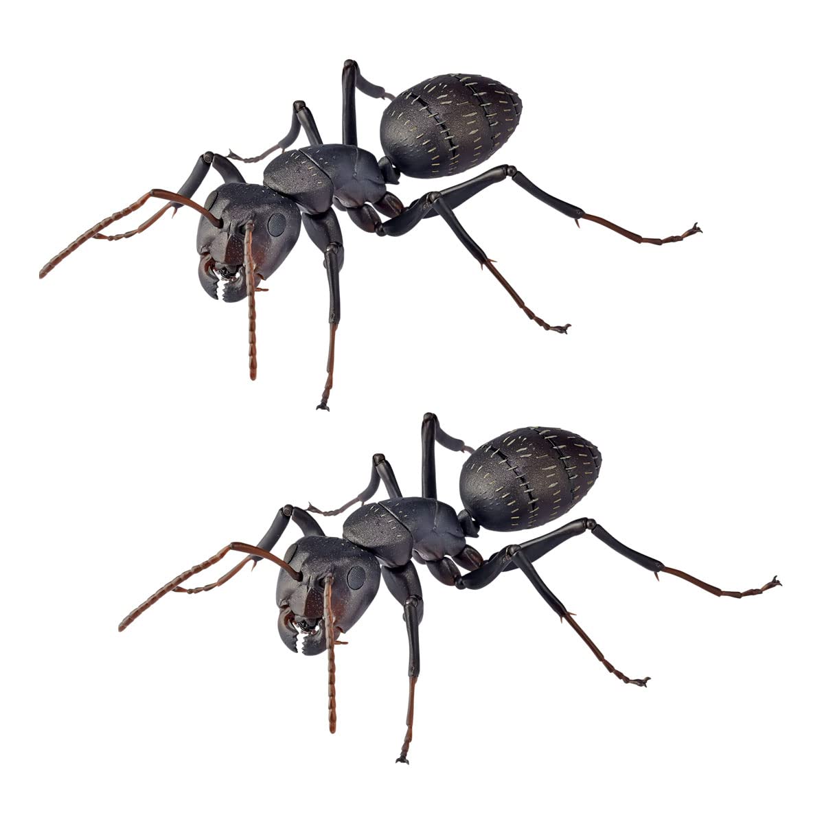 Kaiyodo REVO GEO Black Ant Total Length Approx. 4.5 inches (115 mm