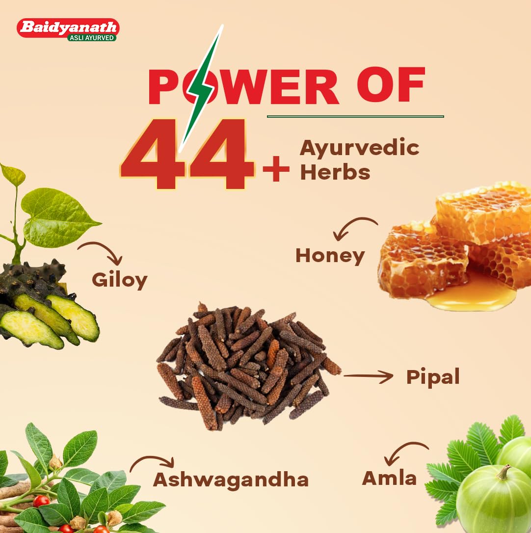 Baidyanath Chyawanprash Special Pack - 1.2kg | Ayurvedic Health Supplement | With Amla, Giloy & 52 Potent Herbs | Supports Immunity, Strength & Stamina | Daily Wellness & Energy Formula 3