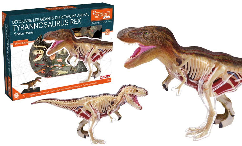 EXPLORA - T-Rex - Paleontología - 546092-36 Piezas - Instrucciones de Ensamblaje y Cuestionario Educativo - Dinosaurio - Kit de Descubrimiento - Juego para Niños - Científico - A Partir de 8 años