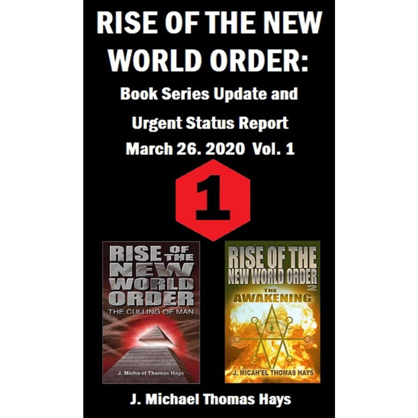 Rise of the New World Order: Book Series Update and Urgent Status Report