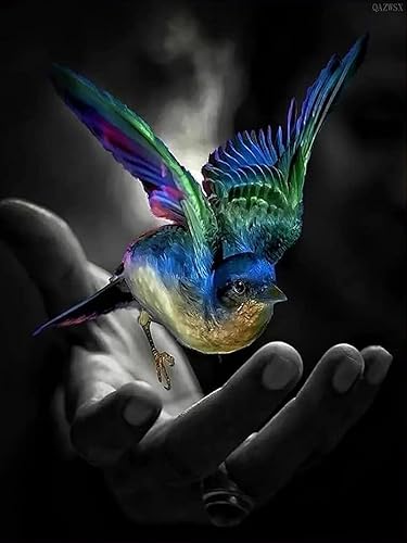 Kits de pintura de diamantes 5D por números para adultos pájaro pequeño en la mano arte de diamante redondo cuentas de taladro completo bordado de