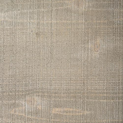 ADLER Pullex platino metallico della vernice per