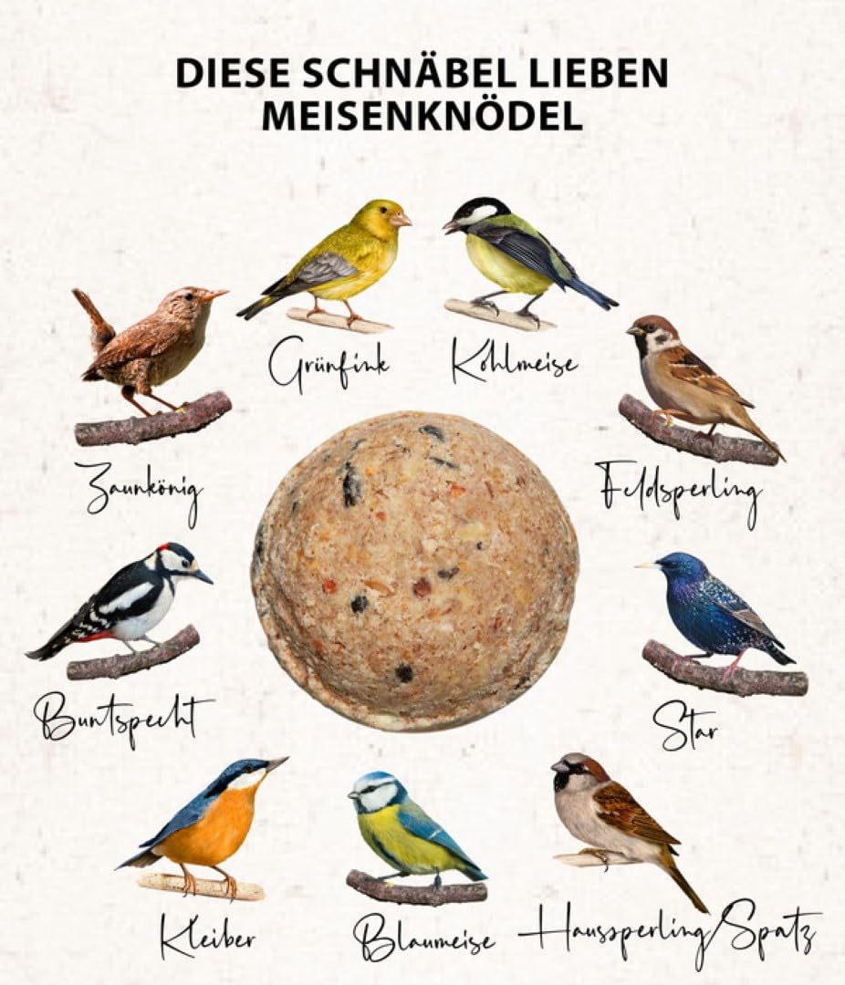 Dehner Natura Vogelfutter | Wildvogelfutter | Meisenknödel ohne Netz | energiereiches Premium Ganzjahresfutter | Fettfutter mit Nüssen | für Meisen und Rotkehlchen | im Vorratseimer | 100 Stück | 9 kg