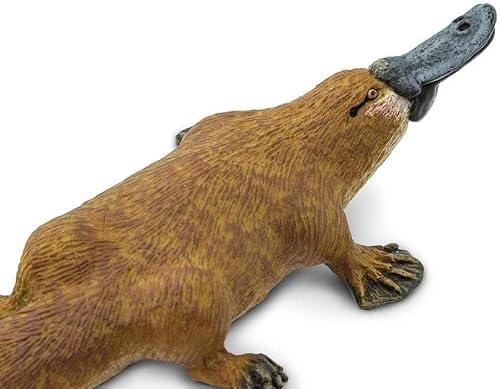 Miniatura 3 de Safari Ltd Wild Safari Wildlife Platypus