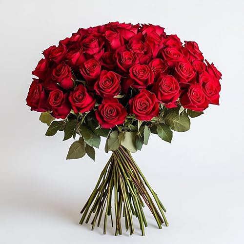 Miniatura 7 de Rosas rojas 50 flores frescas cortadas entrega al día siguiente antes del martes 15 de noviembre hermoso regalo