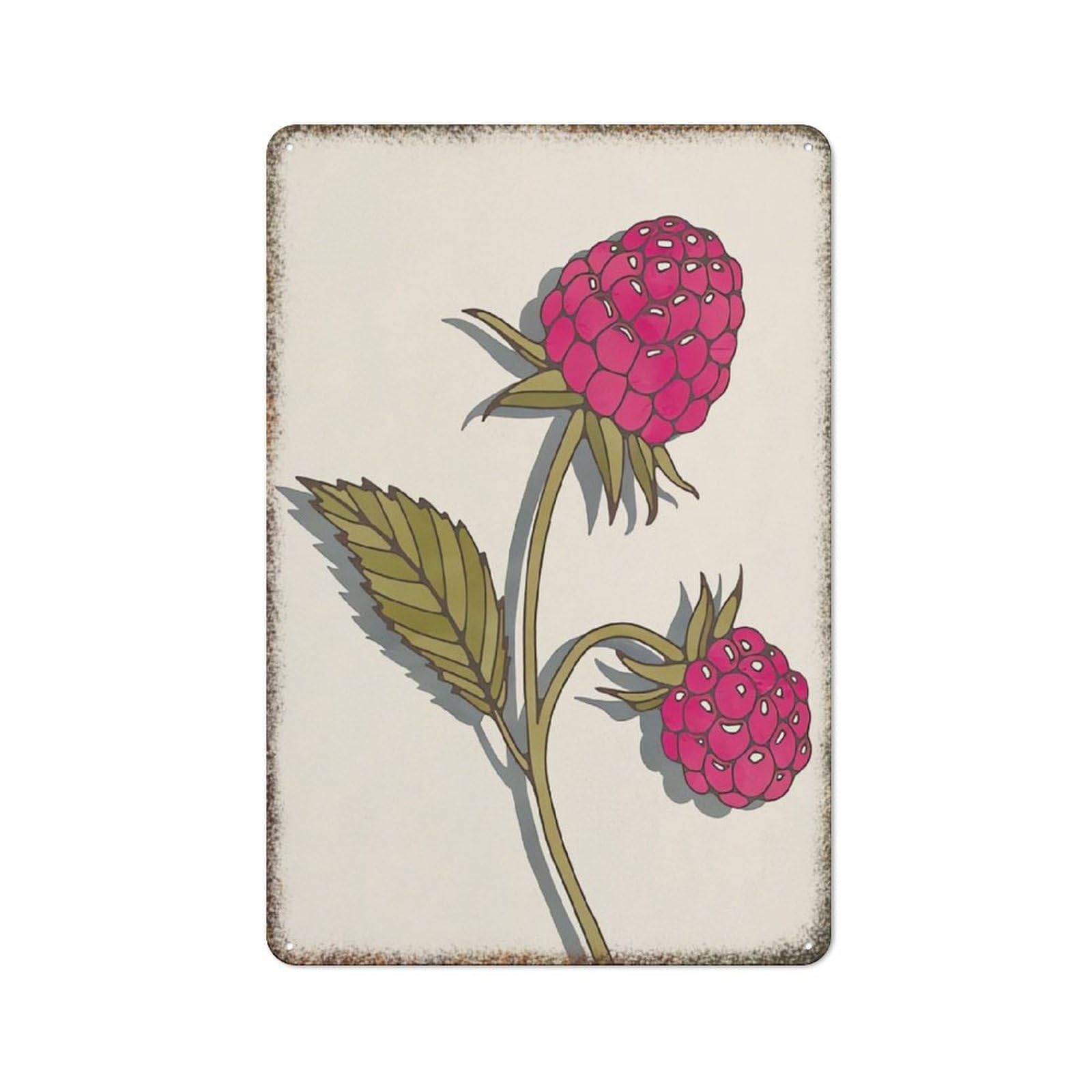 Raspberry Berry Fruit Kitchen Chef Simple Drawing Retro Metal Wall Plaque 8x12 inch