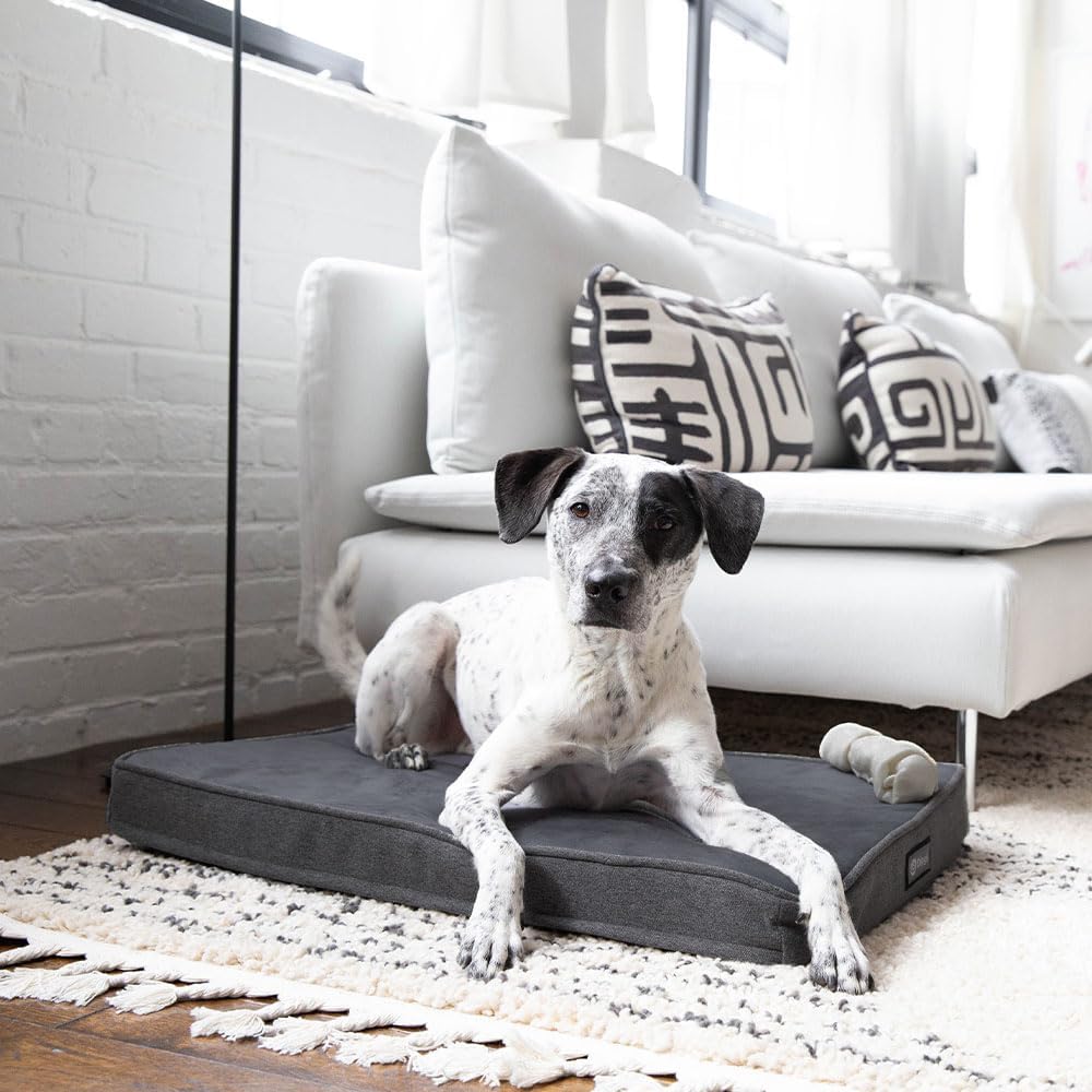 review Diggs Snooz Dark Grey Dog Bed I Memory Foam Puppy Bed I Orthopedic Dog Bed I Perfectly Sized for Revol Dog Crate I Crate Pad Has Removable Cover for Cleaning (19