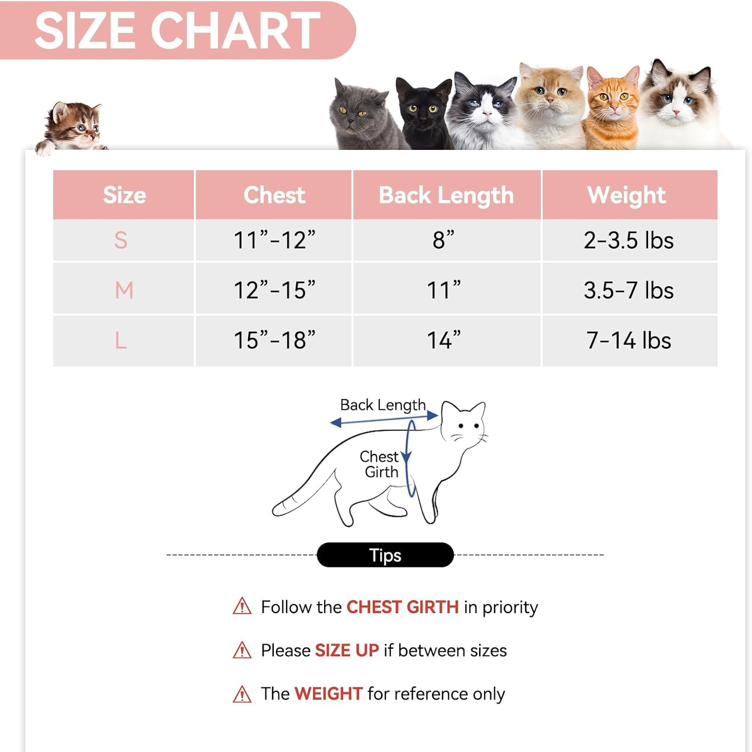 3 PCS Cat Recovery Suit for Spay Abdominal Wounds Female Cat Onesie for Cats After Surgery Surgery Recovery Suit Breathable Alternative Kitten Onesie for Cats Anti Licking (Grey - Image 2