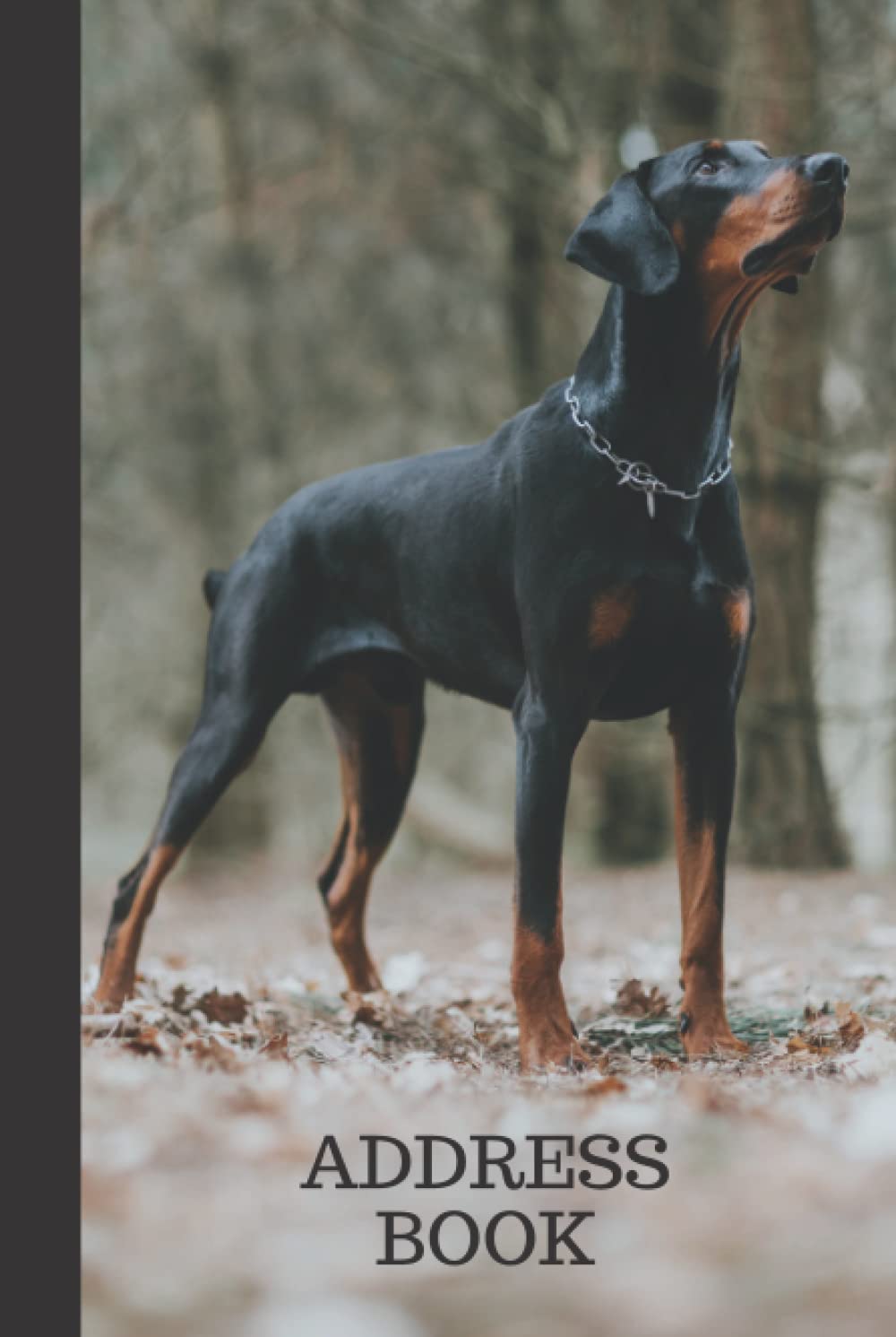 Address Book: Hardcover Hardback / Doberman Dog - Outdoor Nature Photo / Track Names - Telephone Numbers - Emails in Small 6x9 Notebook Organizer / ... / Large Print / Great Senior Citizen Gift