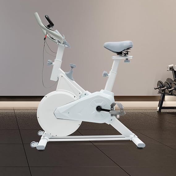 Exercise Bike for Home Use, Indoor Cycling Stationary Bike with Silent Belt Drive & 176lbs Capacity - Adjustable Seat/Handlebars with LCD Monitor for Cardio Workouts