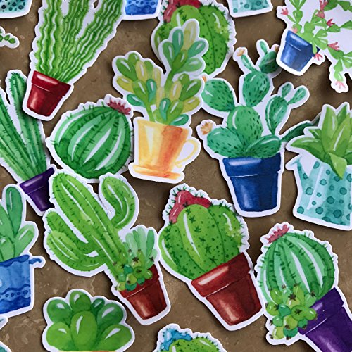 サボテン シールの人気商品 通販 価格比較 価格 Com