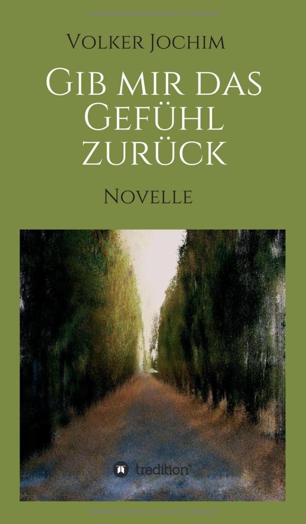 Gib mir das Gefühl zurück: Novelle