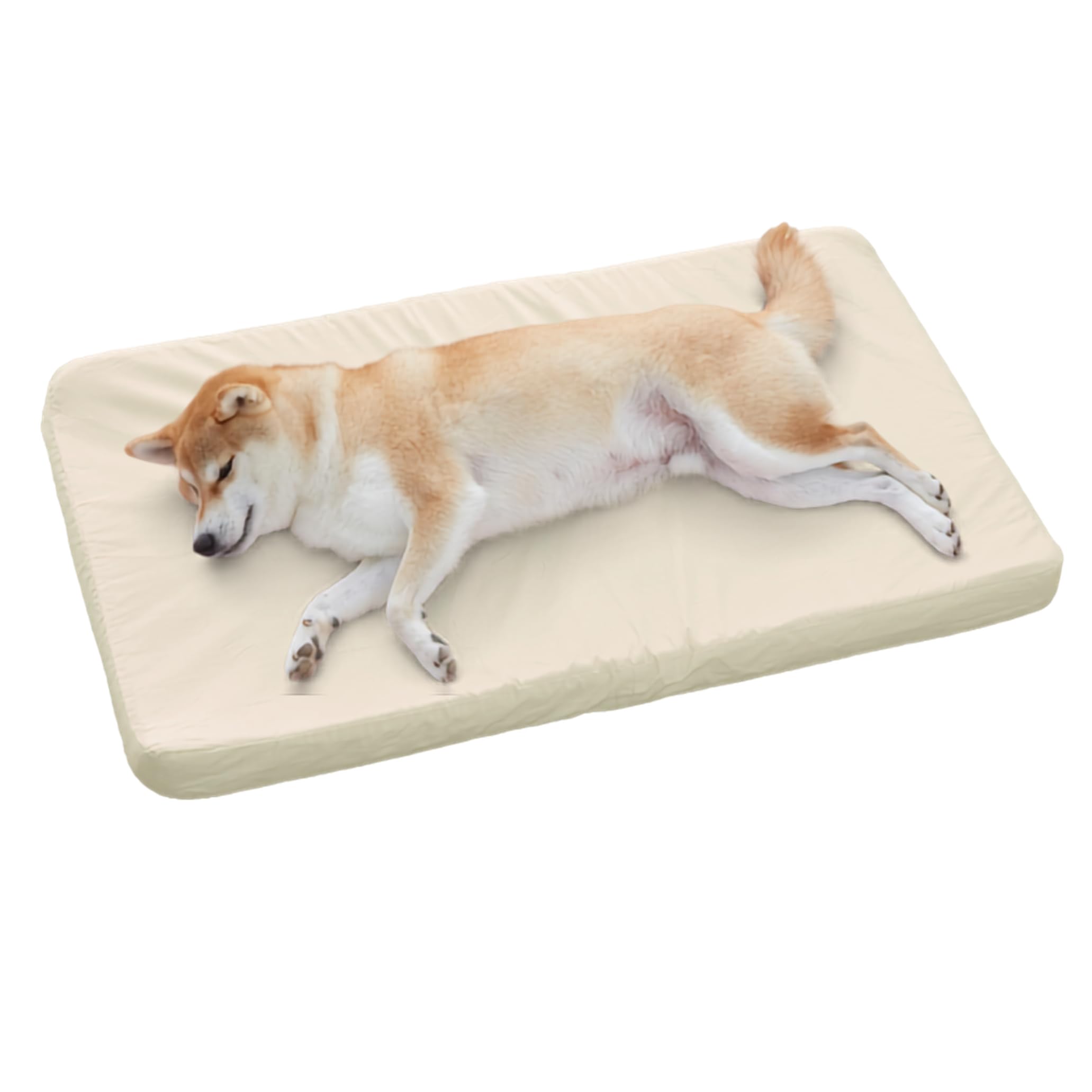 アルテア体圧分散マット　LLサイズ　クリーム色（老犬介護、大型犬） Amazon | アルテア体圧分散マット クリーム L 犬 ベッド 大型犬 中型犬