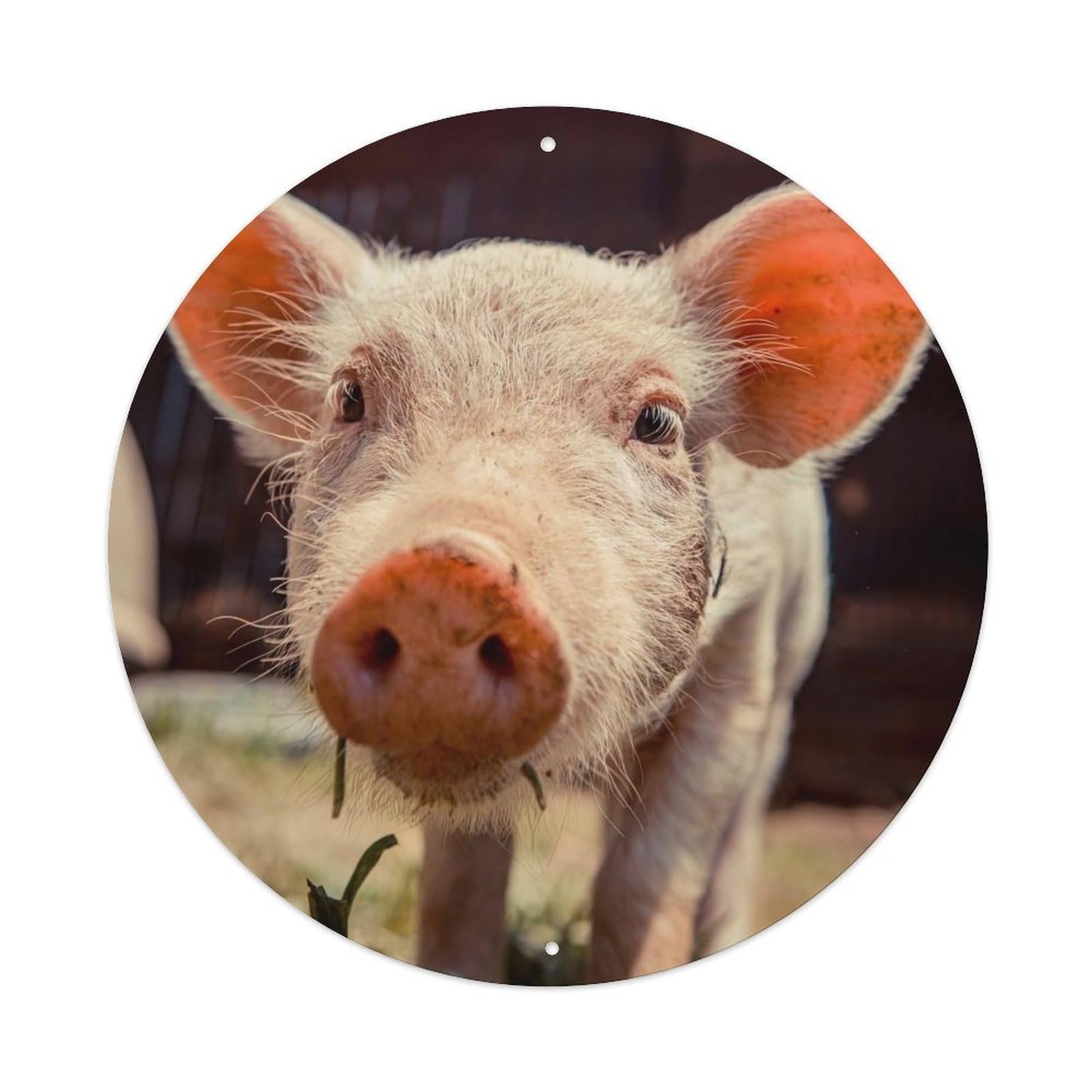 Animal Artwork Baby Pigs Vintage Metal Tin Sign Plaque Wall Decor for Cafe, Club Bar, Office, Garden Metal Poster 8x8Inch