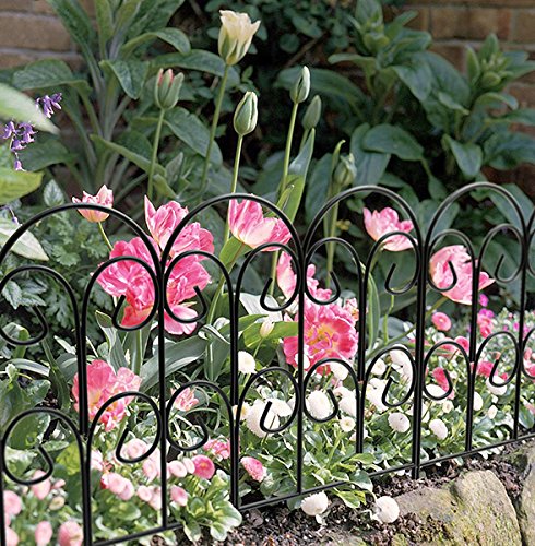 Panacea Scroll Border Edge