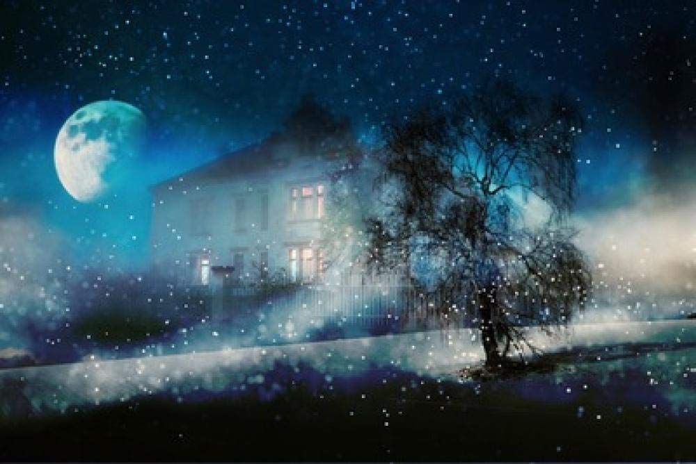 Mosaïque diamant 5D lune en résine supérieure kit complet toile 50x70