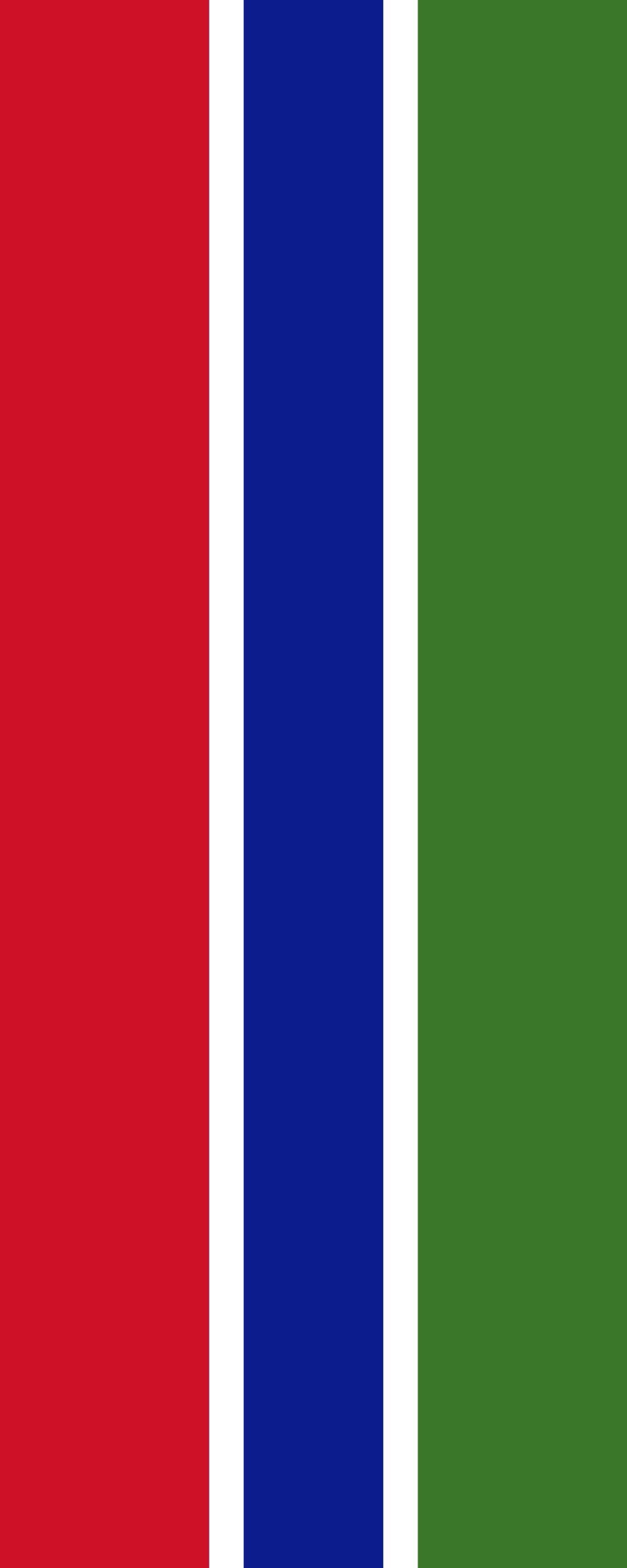 Drapeau Gambie 300x120cm idéal pour pavoiser vos événements extérieurs