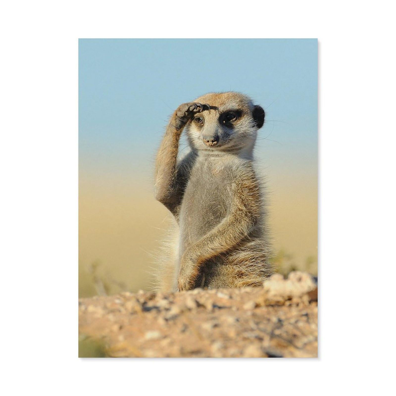 Beayodkp A2 Meerkat，Diy Paint By Numbers For Adults Beginner, Easy Paint By Numbers For Beginner,Acrylic Watercolor Paint By Number For Kids Gift Decor(20X30cm) 7.8X11.8 Inches-A39