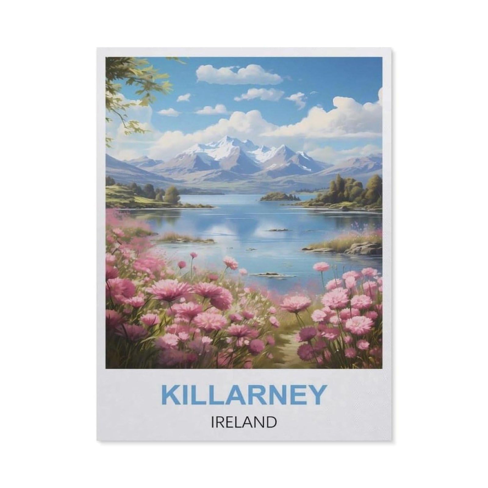 Funny Bathroom Wall Decor Signs，Killarney Ireland(20x30cm）
