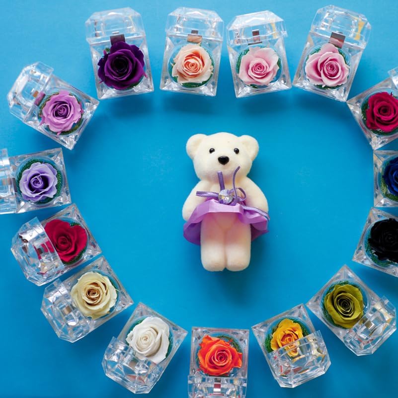 BESTonZON Preserved Flowers Box with Never Withered Rose for Valentine Anniversary Birthday Mini Eternal Rose Display for Women Girlfriend Mom Romantic Home D Cor - Image 2