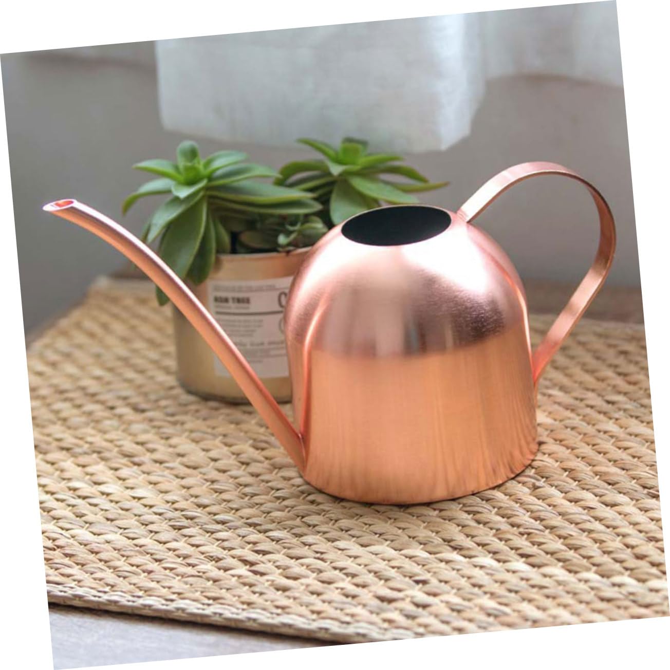 Acciaio Inox Annaffiatoio 500ml Beccuccio da Giardino